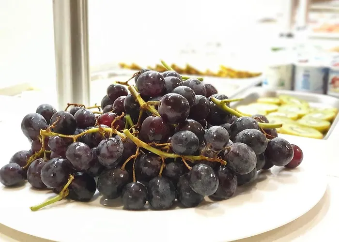 Hotel Gran Botánicos Teruel